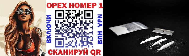 Кокаин Fish Scale  купить наркотики цена  мега ссылки  Новоузенск 