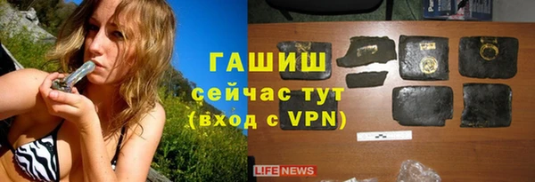 индика Киреевск