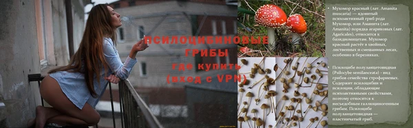 трава Киренск