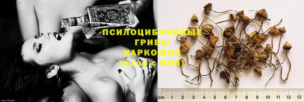 трава Киренск