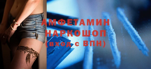 индика Киреевск