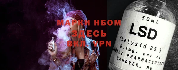 индика Киреевск