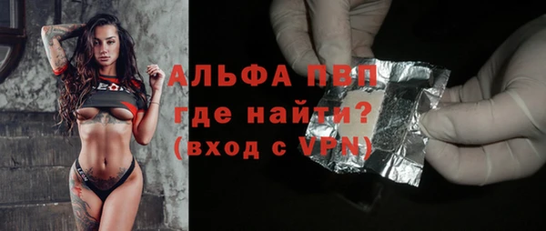 индика Киреевск