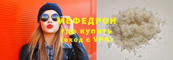 индика Киреевск