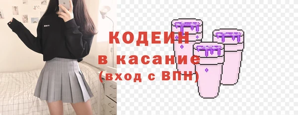 индика Киреевск