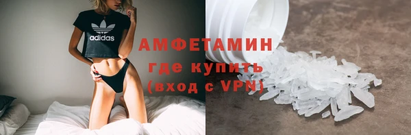 индика Киреевск