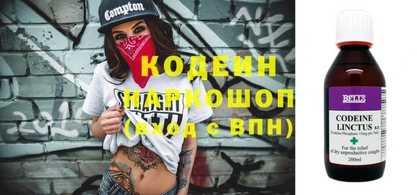 индика Киреевск