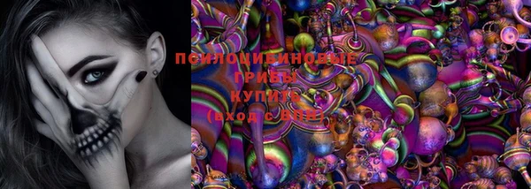 трава Киренск