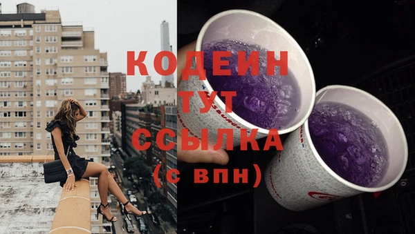 индика Киреевск