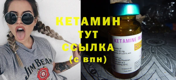 индика Киреевск