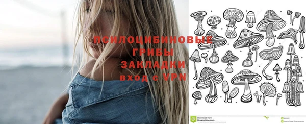 трава Киренск