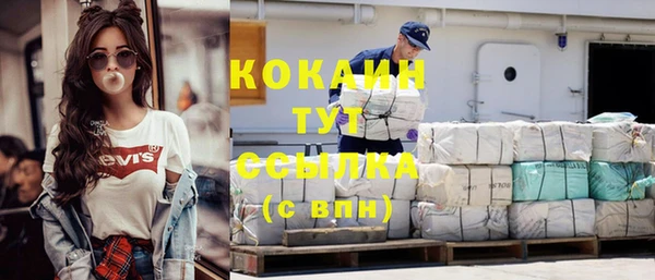 индика Киреевск