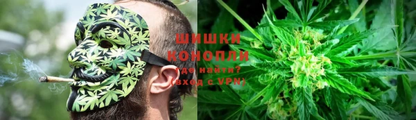 трава Киренск