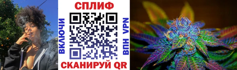 Каннабис MAZAR  купить закладку  Новоузенск 
